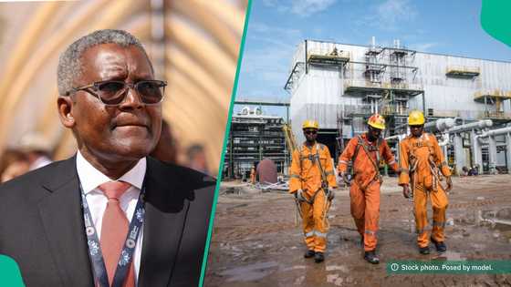 New job vacancies at Dangote Group for qualified Nigerians