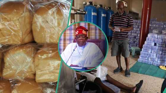 Small business owners groan as fuel subsidy removal hit hard, experts proffer solutions