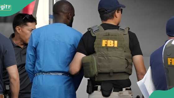 Nigerian man arrested in US for alleged $10 million pandemic unemployment assistance fraud