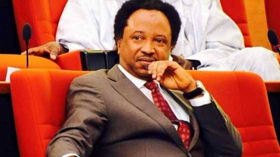 Sace daliban Kagara: Sanata Shehu Sani ya aika sakon kar-ta-kwana ga gwamnan Neja