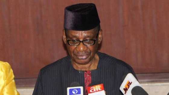 Buhari's appointee condemns FG's plan to use Ibori's loot for federal projects