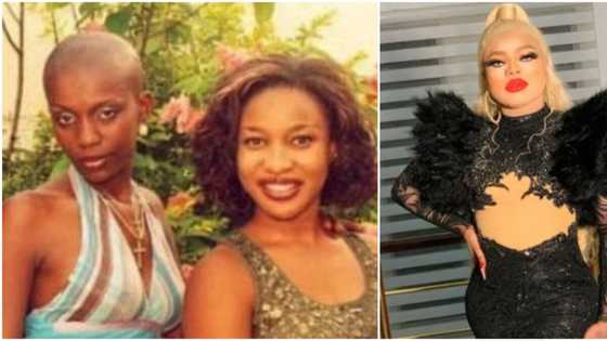 Ada Karl continues to blast Tonto Dikeh, shares fresh list of things actress owes her, Bobrisky likes post