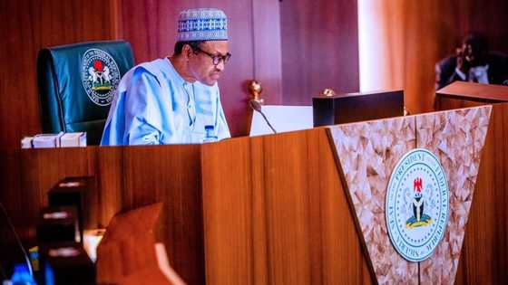 President Buhari reappoints Aliyu as director-general of NADDC