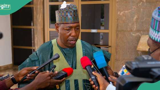 Borno: Zulum ya dauki wani babban mataki kan ciyamomin da ba su zuwa aiki