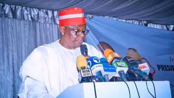 Kwankwaso Ya Dauki Sabbin Alkawurra a Bangaren Ilimi, Ya Bude Shafin Tallafin Kamfen 2023