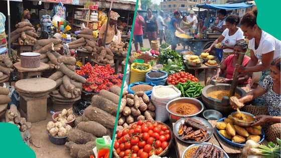 N50,000 food shopping: What Nigerians can buy in markets across Nigeria now