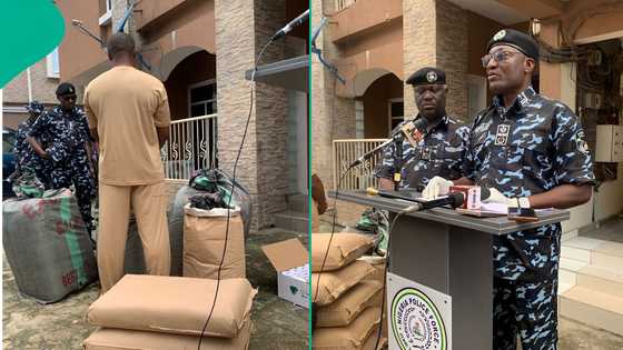 Police seize ‘illicit drugs’ worth ₦7.8bn in Lagos, arrest suspect using POS paper business as cover