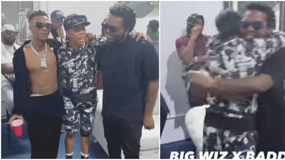 I saw their days of humble beginnings: Dancer Kaffy jumps, screams excitedly as she sees Olamide and Wizkid