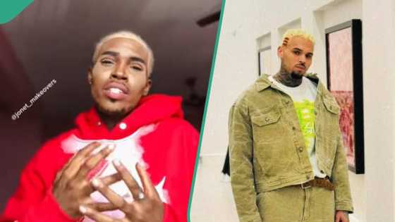 Makeup artist transforms herself to look like Chris Brown, netizens react: "Dis Chris Brown is slim o"