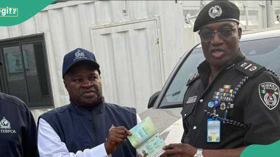 Interpol arrests fugitive businessman over alleged Lagos killings
