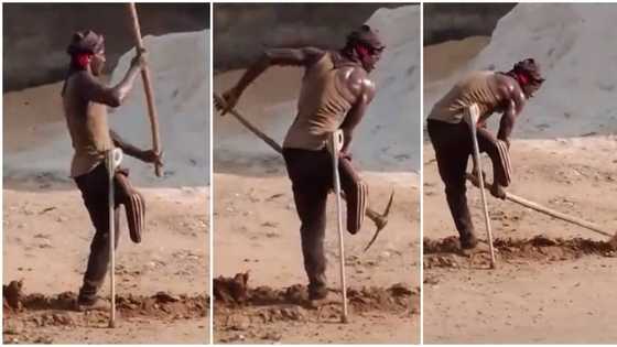 "I couldn't hold my tears": Man who has only one leg digs gutter, video emerges, goes viral