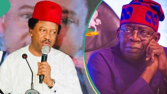 Shehu Sani lists prominent Nigerians President Tinubu should have appointed as ministers