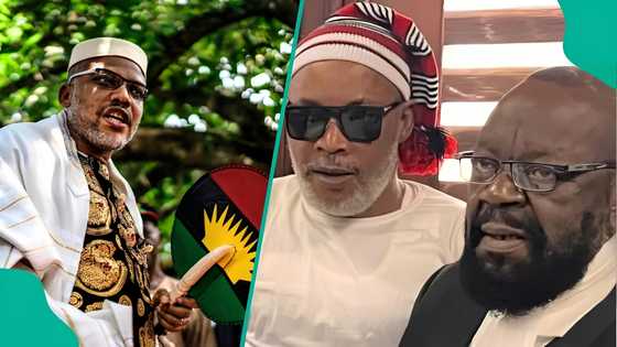 Ohanaeze blows hot over Sowore-led Abuja protest; arrests of Nnamdi Kanu’s brother, lawyer