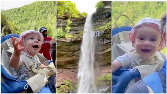Little baby who saw waterfall for first time goes viral, her priceless reaction gets thousands talking (video)
