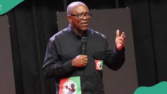 “Our adversity shall not persist for too long”: Peter Obi sends Christmas message to Nigerians