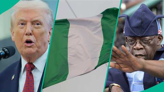 Breaking: Trump breaks silence on why he delayed 'deadly' strike in Nigeria, "A Christmas gift"