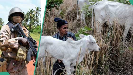 Rikicin Jihar Plateau: Fulani na zargin sojojin Najeriya da yi masu bakin aika-aikata