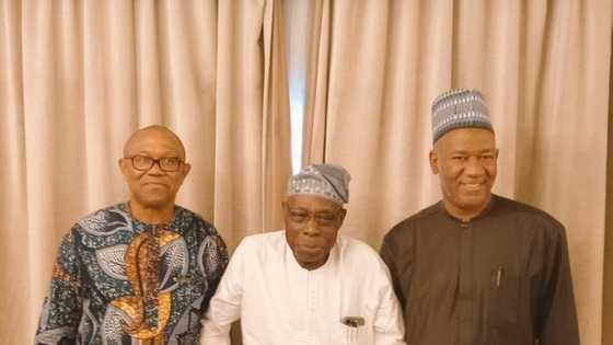 Obasanjo, Clark’s Peter Obi endorsement is good news, Buhari's minister opens up