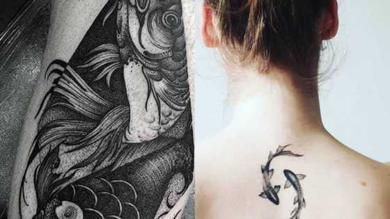 Top 50 Pisces tattoo ideas for everyone