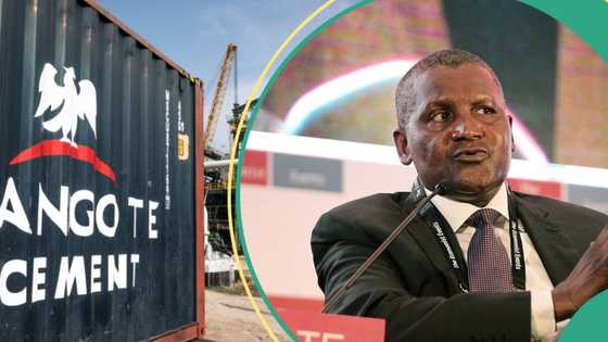 “It’s not N1,500 per bag”: Investigation reveals price of Dangote Cement in Benin Republic