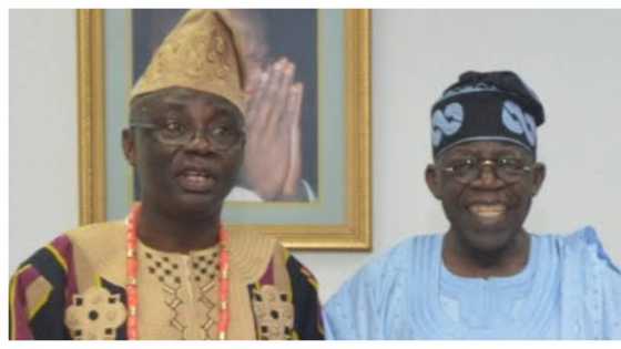 Pastor Bakare finally reveals what Tinubu did to get APC victory in 2015, 2019
