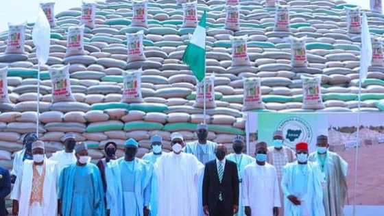 Shirme ne: ‘Yan Twitter da Facebook sun yi kaca-kaca da Dalar shinkafar da aka yi a Abuja