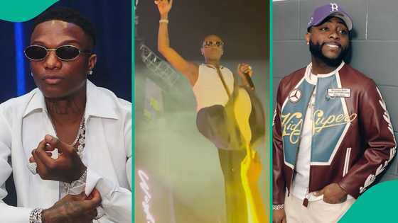 Drama as Wizkid kicks fan's phone during performance: "He show am Davido picture"