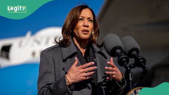 "She held my hopes": Nigerian lawyer reflects on Kamala Harris' loss in US election