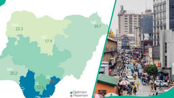 CBN lists sectors likely to employ more Nigerians in latest business survey