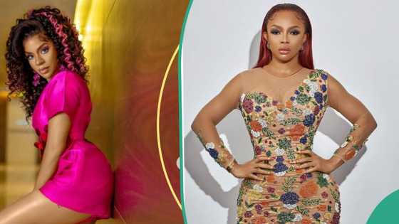 BBNaija All Stars: Netizens dig out old comments of Venita trolling Toke Makinwa for nothing