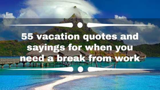 55 vacation quotes and sayings for when you need a break from work