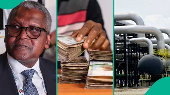 Cikin awa 1 da bude saida hannun jari, Matatar Dangote ta samu Dala miliyan 7