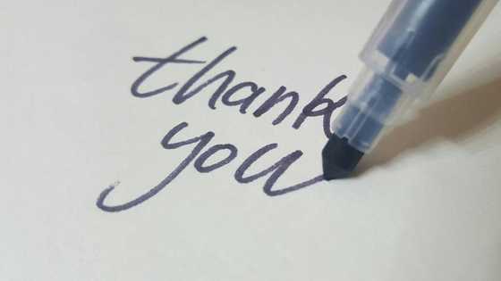 Writing an appreciation letter: tips and samples