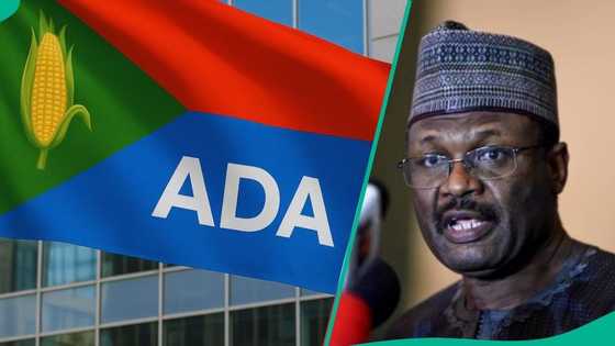 FULL LIST: 2 'ADAs' emerge as INEC announces 110 political party registration applications