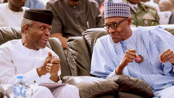 Presidency finally breaks silence on alleged sidelining of Osinbajo's office