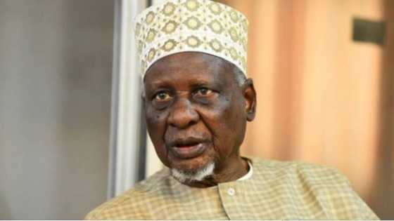 Northern elder statesman tells southeast region how to achieve Igbo presidency