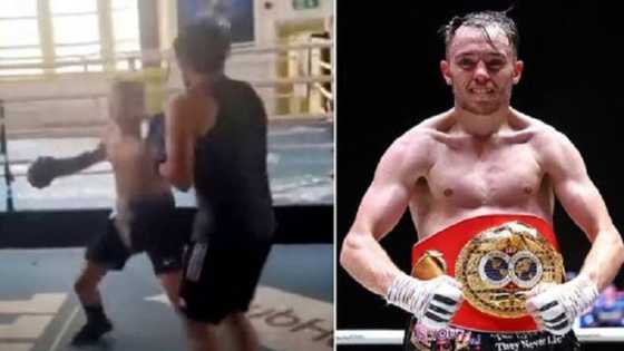 Bidiyo: Ɗan dambe ya lakaɗi matashin da ya zungure shi a Twitter kuma ya bi shi har gida su goge raini