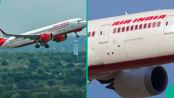 Air India flight returns to airport after burning smell was detected in cabin, passenger speaks