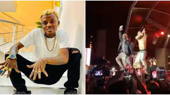 He doesn't sing: Nigerians react as Zazu crooner Portable joins Olamide and Poco Lee on stage