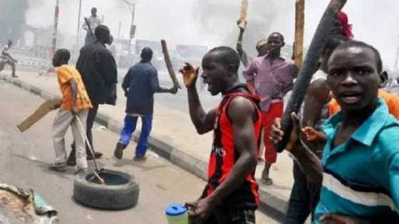 Zaben Fidda Gwani: Matasan Kano Sun Balle Zanga-Zanga kan Hukuncin Gwamnonin APC