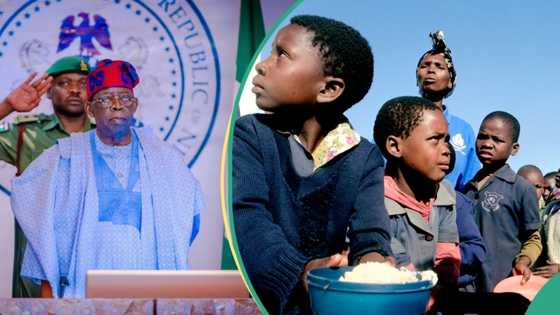 Student loan vs School feeding: Why Tinubu's N150bn scheme can't work in Nigeria, experts reveal