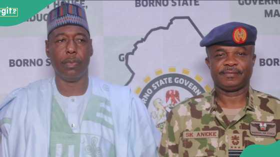 Borno gov lists 3 secret locations terrorists are comfortably situated