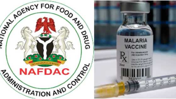 Like Ghana, NAFDAC approves R21 malaria vaccine for Nigeria