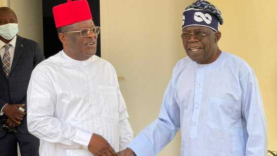 Sai Da Na Dage Da Addu'a Don Kawai Allah Ya Ba Tinubu Nasara, Gwamnan APC Ya Magantu