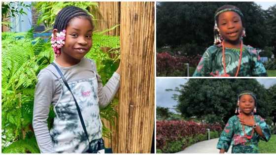 Independence day: Davido's Imade rocks green 'iro & buba', lists fun facts about Nigeria, speaks 3 languages