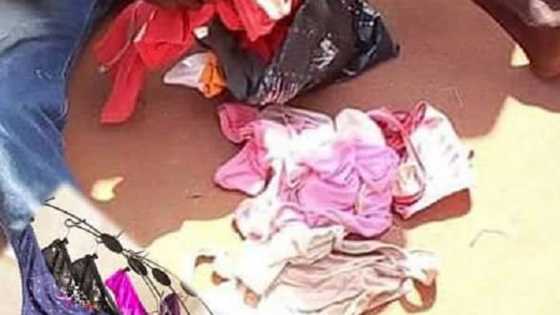 An kama wani matashi bayan ya saci dan kamfai na mata da aka yi amfani da su har guda 14