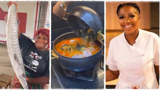 "Someone's salary": Hilda Baci buys Barracuda fish for N60k, uses it to cook one pot of soup, video goes viral