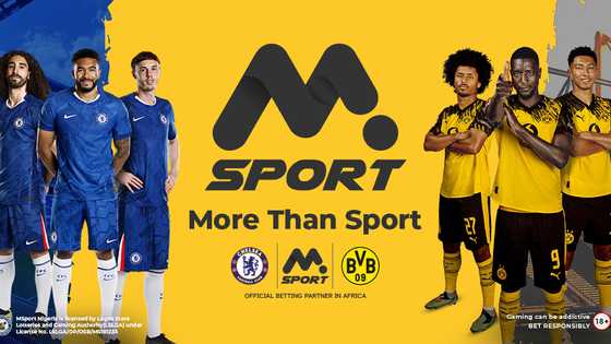 MSport 2025: Nigeria’s #1 sports betting site powered by Chelsea & BVB