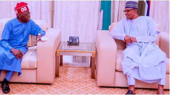 Just in: Buhari’s cabinet members who are switching allegiance to Tinubu revealed