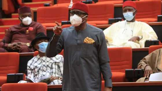 Why I may stand surety for Nnamdi Kanu again - Senator Abaribe